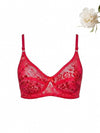 Red Floral Lace Net Bra | Deep V Sexy Crop Bra with Bow - 800 Rs